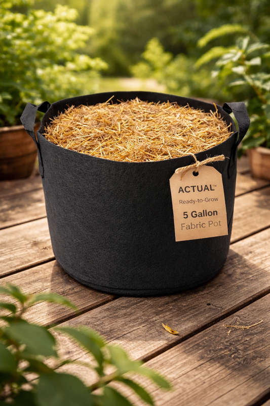 ACTUAL™ Ready-to-Grow Pot